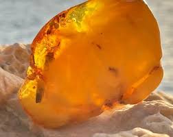 Large Amber With Fossil Inclusions and Bubbles,vintage White Amber , Large Amber, Amber With Fossil Stalk, Natural Baltic Amber, Raw Amber - Etsy