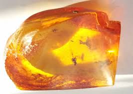 Vintage Ancient Original Large Amber Chunk Baltic 8-10g 1.5"×1" Insects | eBay