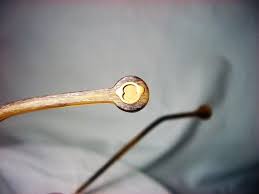 Monkeyglasses, Titanium, Square, Oval, Eyeglasses, Frames ...