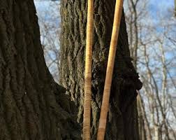 Trembita Wooden Wind Gutsul Musical Instrument From Ukrainian Carpathian Master - Etsy