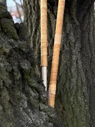 Trembita houten windgutsul-muziekinstrument van Oekraïense Karpatenmeester - Etsy Nederland