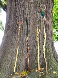 The Staff Room | Ogham Divination