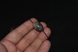 Authentic Ancient Agate Stone Chung Dzi Bead with Eye in ...