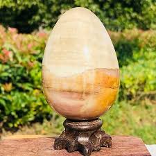 360g Natural Wood Fossil Crystal Egg-Shaped Energy Magic ...