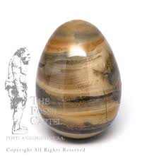Silver Leaf Jasper Egg - The Fossil Cartel