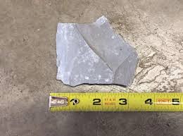 Trilobite Fossil Grey Rock Specimen | eBay