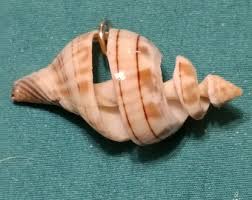 Banded Tulip Spiral Cut Pendant - Etsy