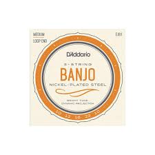 Ernie Williamson Music - D'Addario EJ61 5-String Banjo ...