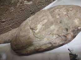 Profil de Gema Michel (gemstone0420) | Pinterest