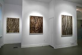 Next to Nature Art: Johnnie Eisen's Photography Exhibition Breath - Catherine Annau