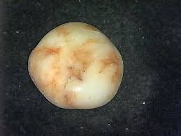 WATERFALL POND JASPER TYPE SPECIMEN'S #SJ084 NORTH WEST PACIFIC COAST AREA | eBay