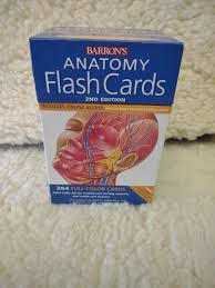 BARRON'S ANATOMY FLASH CARDS 264 FULL COLOR 2nd Ed BOXED ...