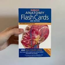 Barrons | Other | Anatomy Flash Cards | Poshmark
