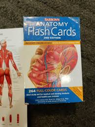 Barron's Anatomy Flash Cards | Mercari