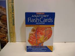 BARRON'S Anatomy Flash Cards, 2nd Edition by Kurt H ...