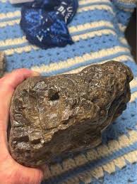 Petrified Wood Log W/ Heavy Amber and Crystals - Etsy