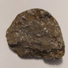 Golden Calcite Covered Shell Fossil, Golden Calcite Crystals ...