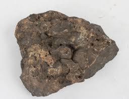 Lot - Three Trace Fossils