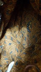 The Sak Wooden Woven Beaded Crossbody Handbag Leather Shoulder Strap & Zipper | eBay