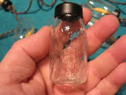 10 Clear Glass Mini Mason Jar Deco String Light Set Silicone Bulb Ornament Globe | eBay