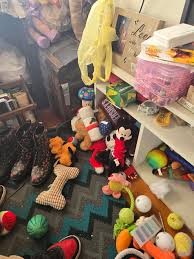 My puffers thinks he's a stuffy : r/OneOrangeBraincell