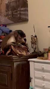 Bedtime Money Counting: A Hilarious Encounter | TikTok