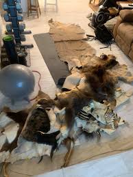 What are cool ways to use these items in Animal Crossing New ...