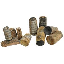 Crinoid Stem - Fossil - Etsy