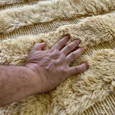 Serene Serenade Berber Area Rug | Elegant Creme Textured ...