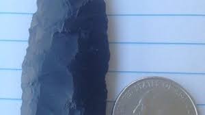 Discovery on LBI was the hit of the Summer of '14