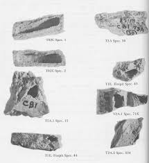 Savage: FAUNAL FINDINGS 25 FAUNAL FINDINGS AT THE CONSTANCE ...