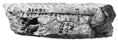 Plate 9 No. 9 (BM 34691+) Rev. No. 9 (BM 34691+) Obv. No. 9 ...