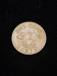 1970 British Bermuda 1 Cent Pig Coin - Etsy