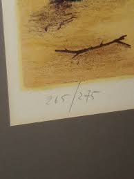 Roberto Righi Lithograph Print Signed Certified Limited ...