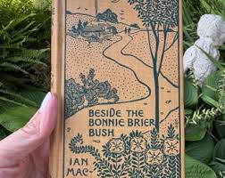 C. 1900s Works of William Shakespeare, Rare Antique Book, Blue Floral Decorative Binding, Antiquarian, American Edition, English Poet - Etsy