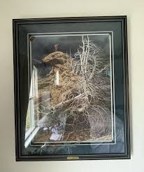 Bev Doolittle "Prayer for the Wild Things" Signed & Numbered ...