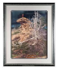 Lot - BEV DOOLITTLE (AMERICAN, B. 1948)