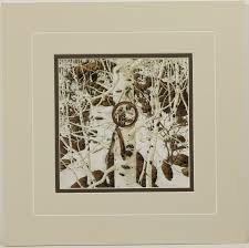 Bev-Doolittle- ''Three More for Breakfast '' Custom Matted ...