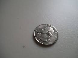 2021 P Crossing The Delaware Washington Quarter Strike Error Front & Back | eBay