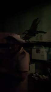 knottsscaryfarm2025 | TikTok