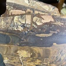 Detshutes. Biggs Oregon Jasper AAA  Slab Rare  Extinct ...