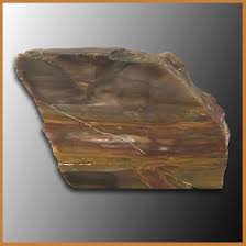 PET218 Grassy Mountain Petrified Wood Specimen| The Gem Shop ...