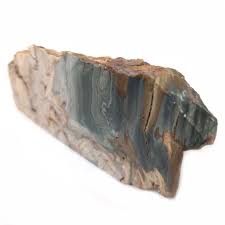 Gary Green Bog Fossil Stand-Up - The Fossil Cartel