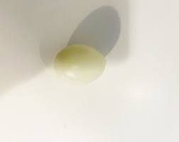 Plastic Boiled Egg: Pretend Play Food, Kitchen Set Toy - Etsy