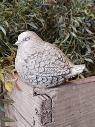 Tweety – Armstrong Garden Centers