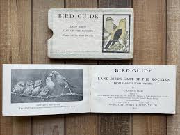 Vintage Bird Watcher Guide Book 1928 Land Birds East of the ...
