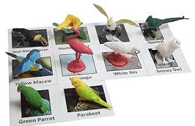 Curious Minds Busy Bags Montessori Tropical Bird Animal Match - Miniature Exotic Bird Animal Toy Figurines with Matching Cards Preschool Matching Game : Toys & Games - Amazon.com