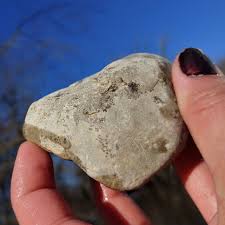Dense Dendritic Limestone Rock, Manganese Dendrites ...