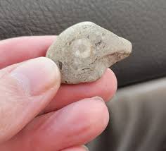 Unique Rock Formation: Bird-Shaped Rock