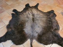 Genuine Buffalo Hide Tapestry Rug 8' (1bufhide) - Mission ...